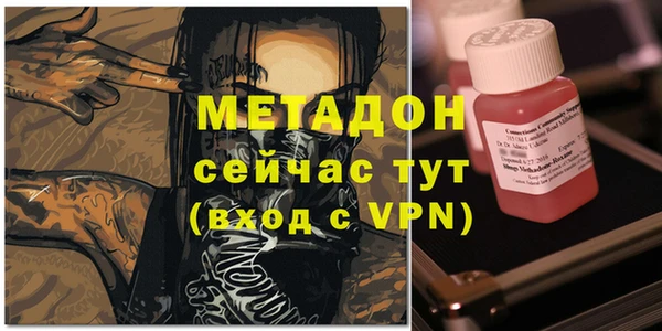 прущие грибы Аркадак