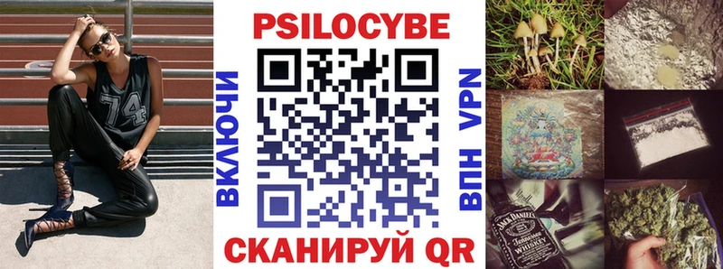 Купить где  Верещагино  Псилоцибиновые грибы GOLDEN TEACHER 
